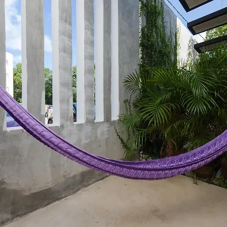 Stay Tropical-3